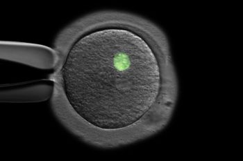 Photo Credit: Dr. Dieter Egli